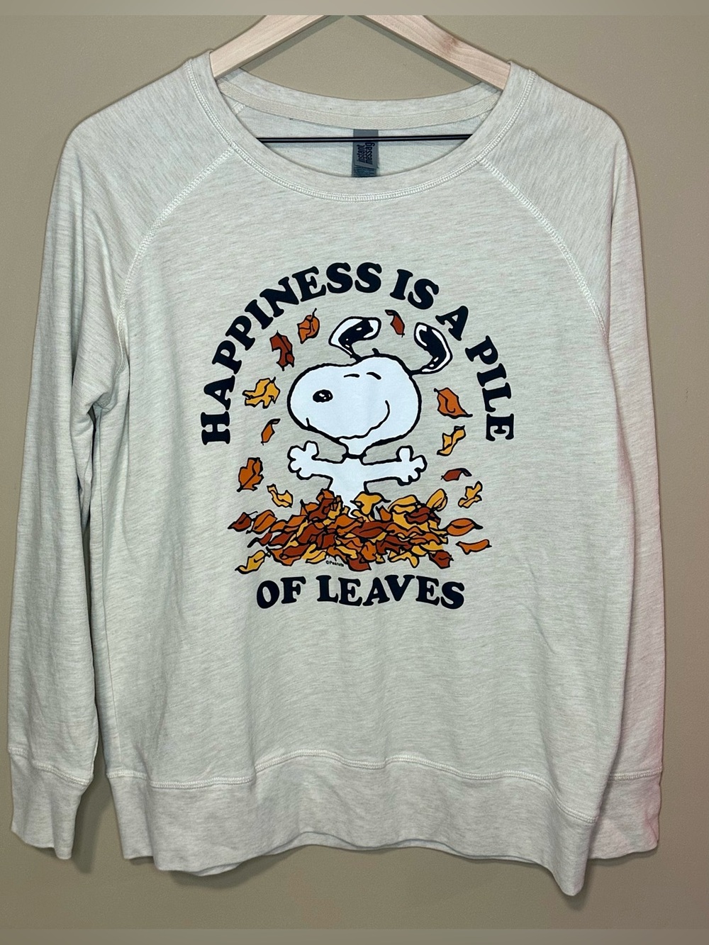 Instant Message Peanuts Snoopy Fall Graphic Sweatshirt – Women’s M